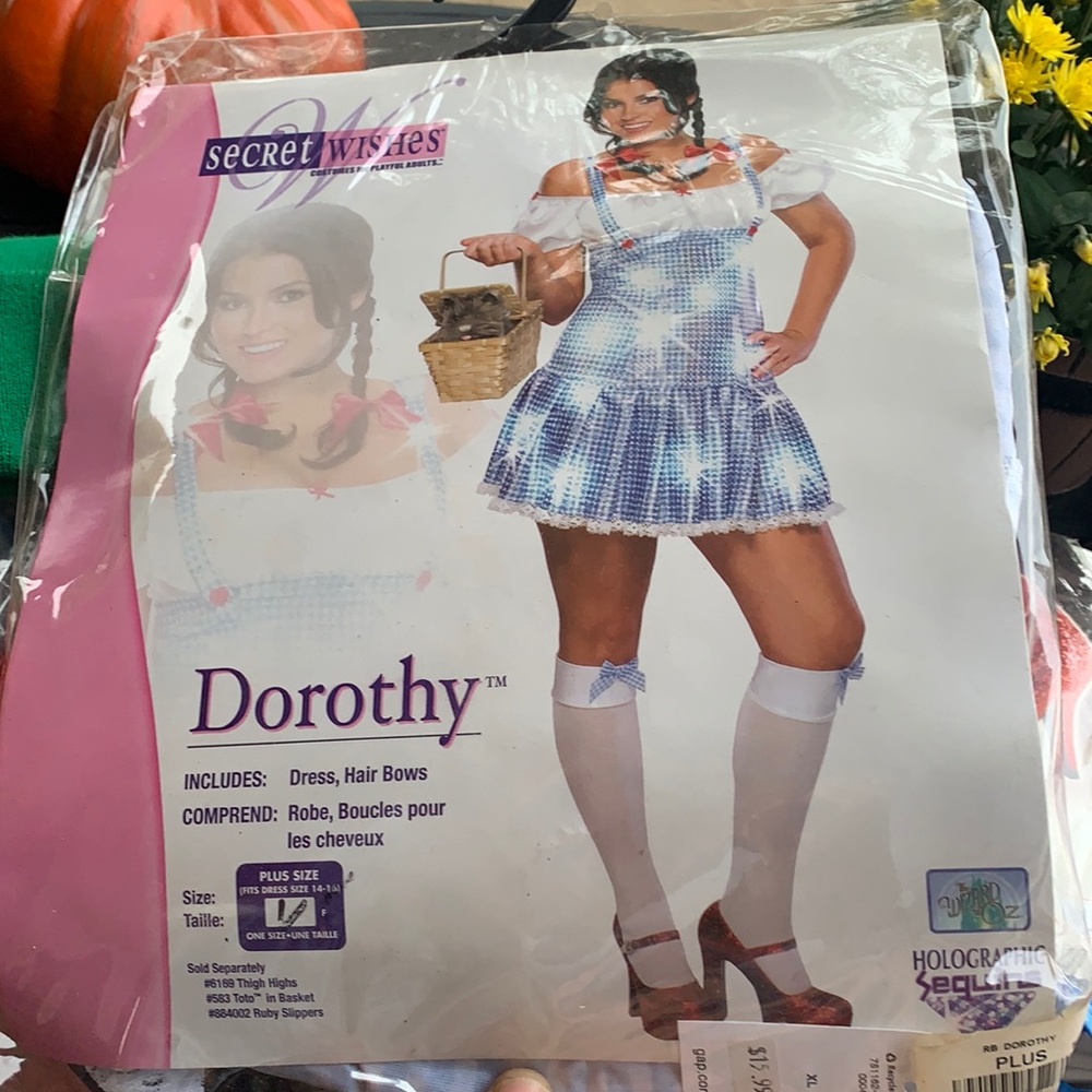 Cheeky Dorothy costume size 14-16